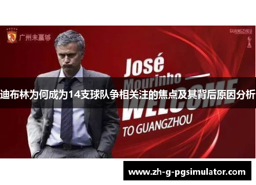 迪布林为何成为14支球队争相关注的焦点及其背后原因分析